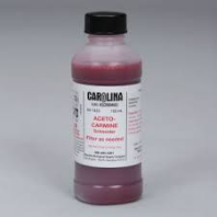 Aceto Carmine 100ml